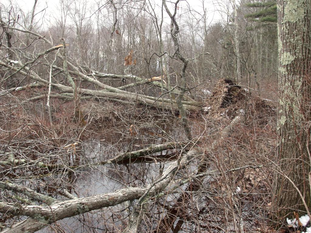 dilapidated River Trail in March near Foss Farm in northeastern Massachusetts