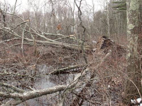 dilapidated River Trail in March near Foss Farm in northeastern Massachusetts