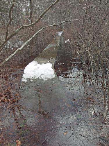 ice-and-water covered boardwalk in March on the River Trail near Foss Farm in northeastern Massachusetts