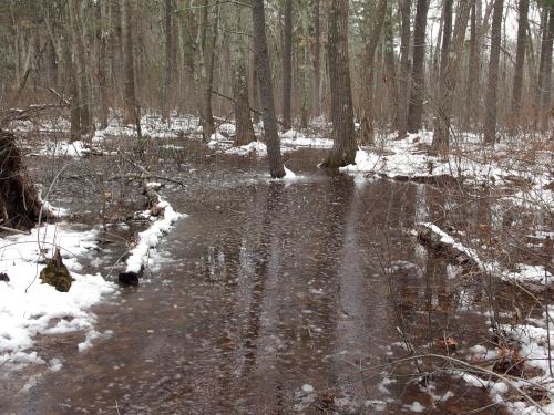 seriously flooded River Trail in March near Foss Farm in northeastern Massachusetts