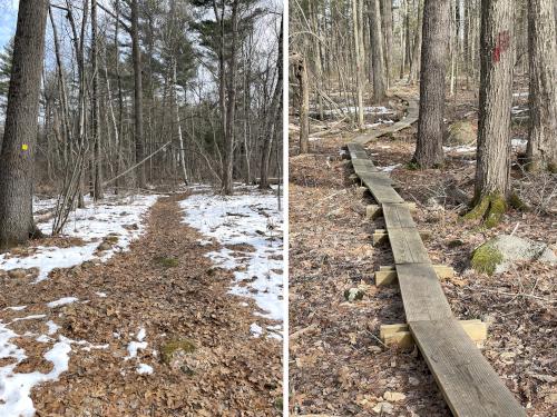 trails in February at Frances Hill Wildlife Sanctuary in northeast MA