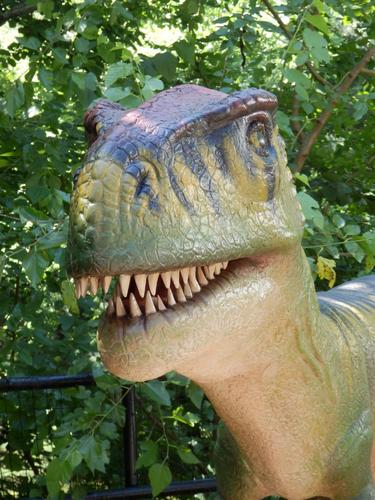 dinosaur in the temporary Zoorassic Park exhibit at Franklin Park Zoo in Massachusetts