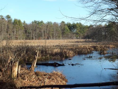 pond in November on the Fremont Rail Trail in southern New Hampshire