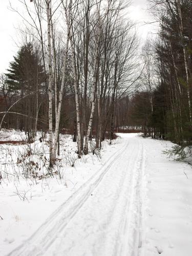 trail at Tucker and French Family Forest in southeastern New Hampshire