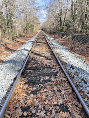 train track in November at Fruitlands Museum in northeast Massachusetts