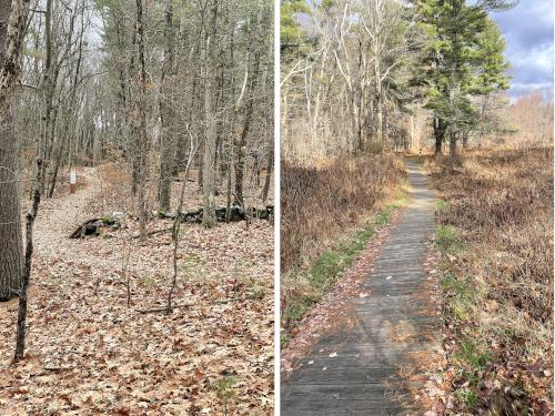 trails in November at Fruitlands Museum in northeast Massachusetts