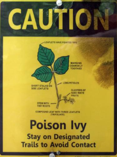 poison-ivy sign at Frye Town Forest in Kingston, New Hampshire