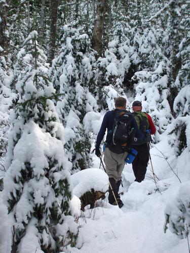 hikers on the snowy trail to Mount Garfield in New Hampshire