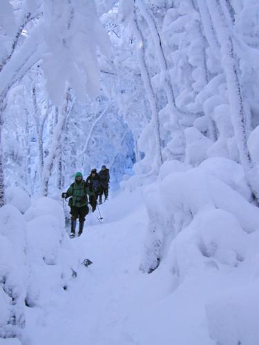 hikers on snowy trail to Mount Garfield in New Hampshire