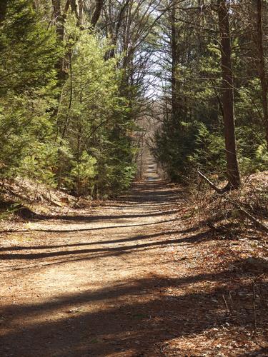 trail at Georgetown-Rowley State Forest in northeastern Massachusetts