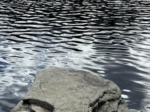 pond ripples in March at F. Gilbert Hills State Forest in eastern Massachusetts