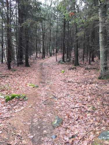 trail at Gilson Hill in northeastern Massachusetts