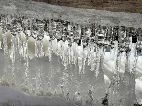 icicles in February at Gonic Trails near Rochester in southeast New Hampshire