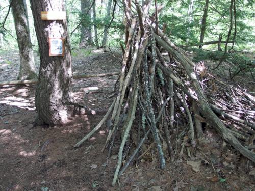 Eeyore's teepee home on the Pooh Trail at Goodwill Conservation Area in southeastern New Hampshire
