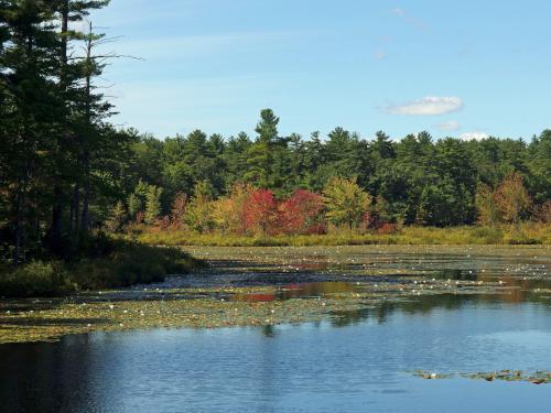 Richardson Pond at Goodwill Conservation Area in southeastern New Hampshire