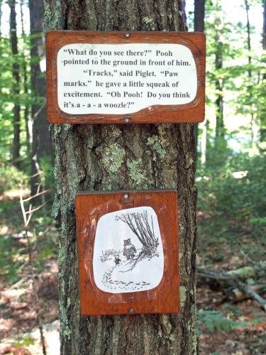 where the Woozle wasant signs on the Pooh Trail at Goodwill Conservation Area in southeastern New Hampshire