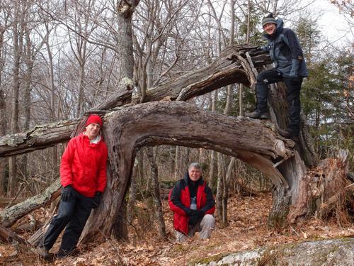 hikers on Goves Mountain in New Hampshire