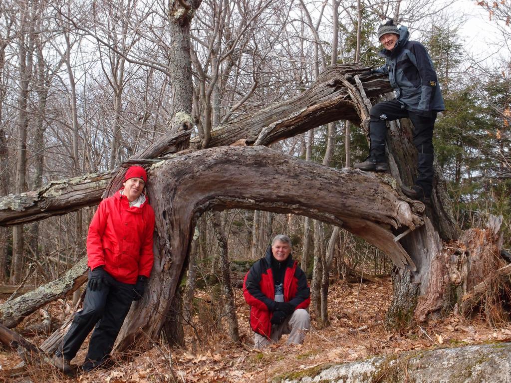 hikers near the summit of Goves Mountain in New Hampshire