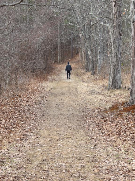 Ferry Way Trail in January at Great Bay NWR in southeast New Hampshire