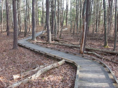 trail in January at Great Bay NWR in New Hampshire