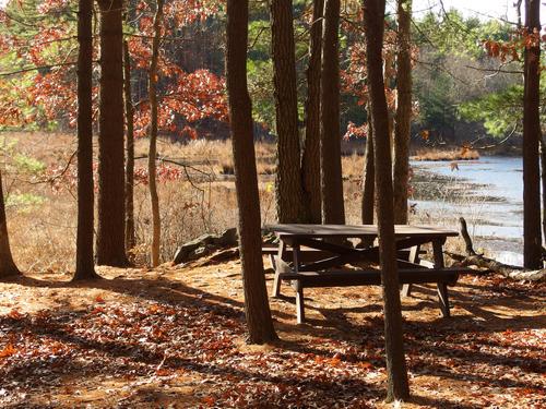 picnic table on the Beaver Loop trail at Great Brook Farm State Park near Westford in northeastern Massachusetts