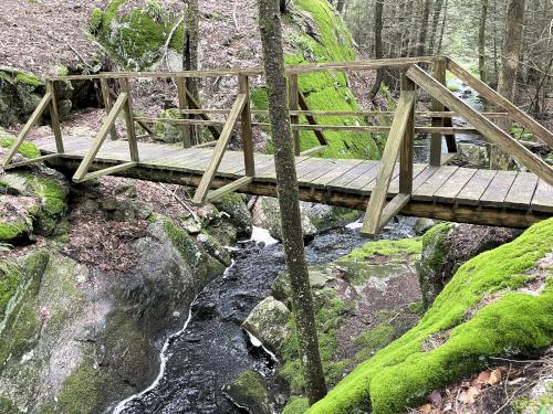 footbridge in June at Great Brook Trail in southern New Hampshire