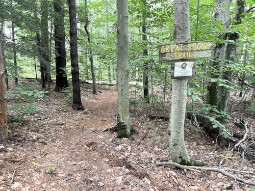 trail entrance in June to Great Brook Trail in southern New Hampshire