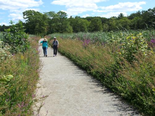 Andee and Elaine on the Dike Trail at Great Meadows National Wildlife Refuge in eastern Massachusetts