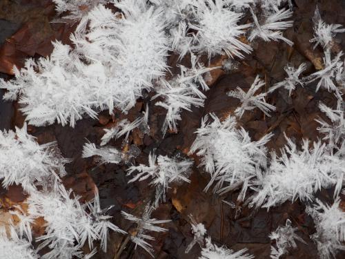 ice crystals in December on a creek crossing at Greeley Ponds near Lincoln in central New Hampshire