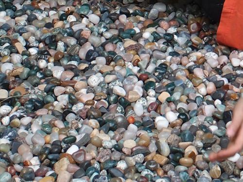 Anthony luxuriates on a bed of semi-precious pebbles at the Gemstar store at Enfield in New Hampshire
