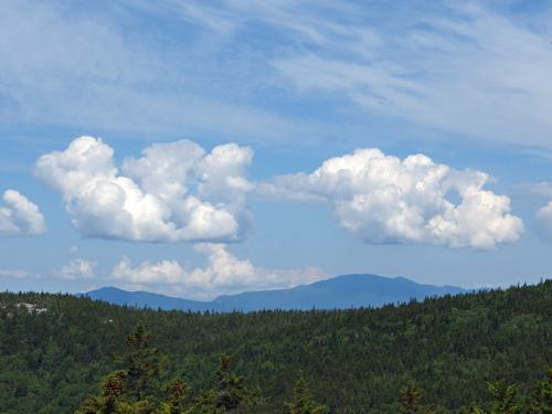view toward the northern White Mountains from the bushwhack route to Green Mountain near Waterville Valley in New Hampshire