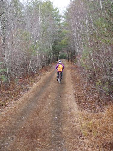 Andee bikes Greenville-Mason Rail Trail in southern New Hampshire