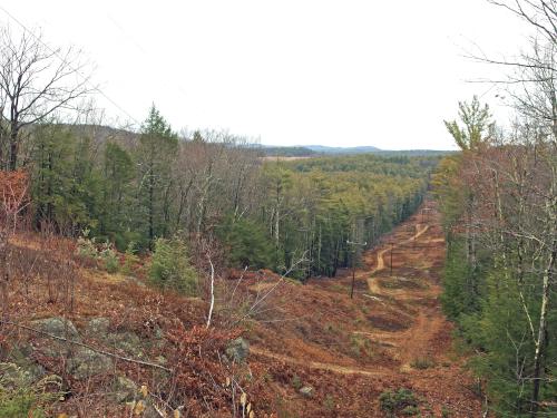 powerline swath at Greenville-Mason Rail Trail in southern New Hampshire