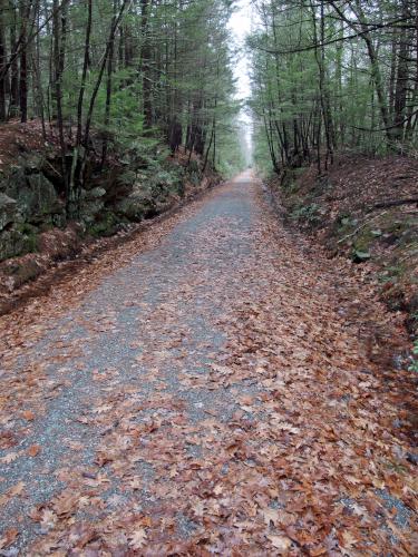 trail at Greenville-Mason Rail Trail in southern New Hampshire