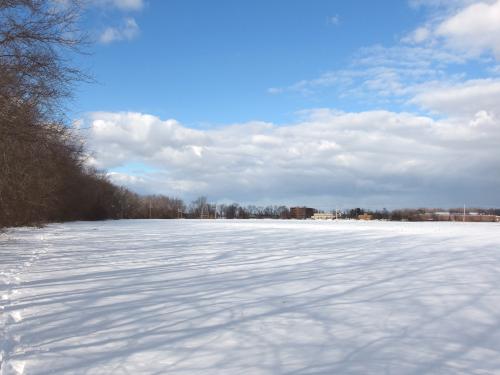 field in January beside the Merrimack River Greenway Trail near Concord in southern New Hampshire
