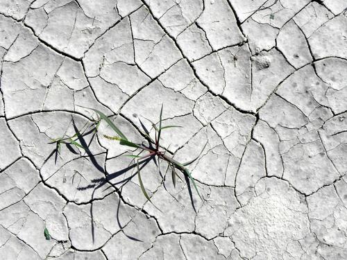 dried-and-cracked soil at Greystone Trails in Massachusetts
