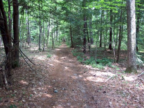 trail at Gulf Brook Conservation Area in Pepperell MA