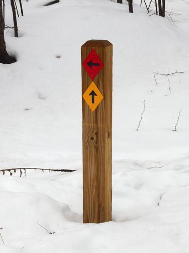 trail junction sign at Gumpus Pond Conservation Area in southern New Hampshire