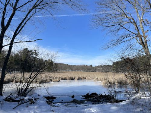 marsh view in January at Haggetts Pond in northeast MA