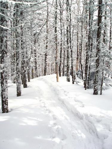 Hale Brook Trail in winter in New Hampshire