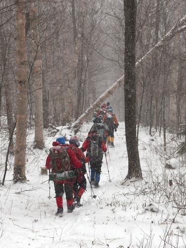 winter hikers pass through a snow squall on the trail to Mount Hale in New Hampshire