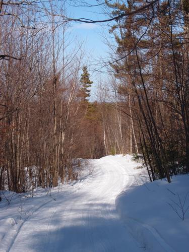 winter hiking trail to Hall Mountain at Bear Brook State Park in New Hampshire
