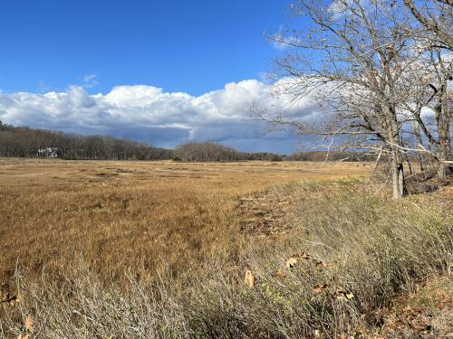 marsh view at Hamlin Reservation in northeast Massachusetts