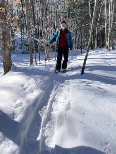 snowshoeing in January at Hammond Nature Preserve in southern New Hampshire