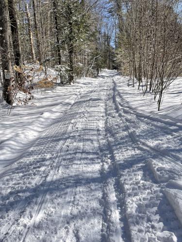 snowmobile trail in January at Hammond Nature Preserve in southern New Hampshire