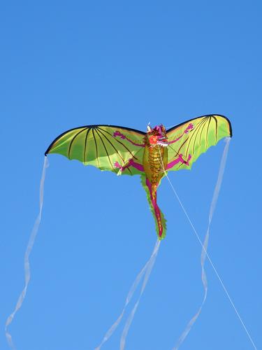 a flying dragon kite flies above Hampton Beach in New Hampshire