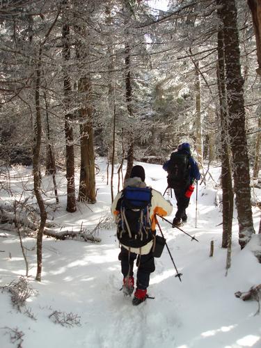 Mount Hancock trail in winter in New Hampshire