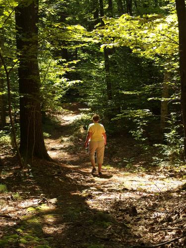 hiker on a trail at Hasetine Community Preserve in southern New Hampshire