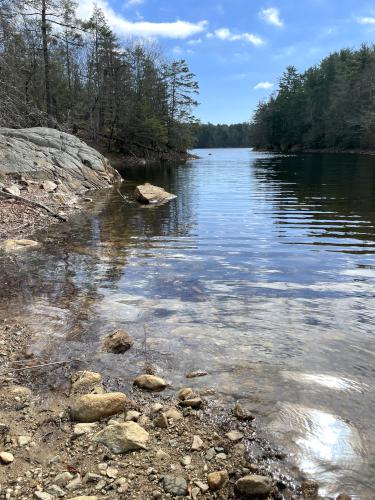 inlet in March beside Haskell Pond Loop in northeast MA