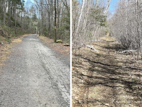 Forest Lane in March at Haskell Pond Loop in northeast MA